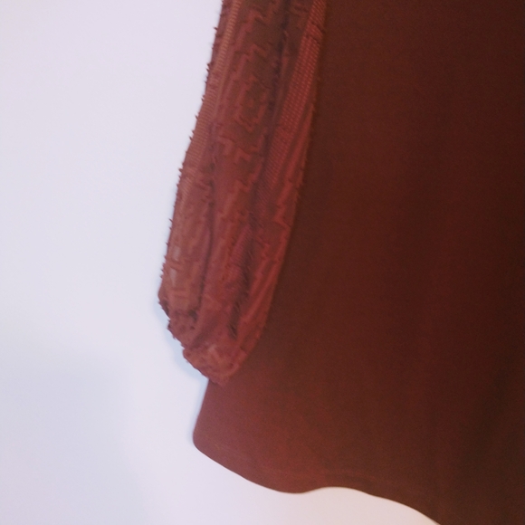 BY design dark red 1/2 sleeve top. Thick fabric in the body and semi sheer text - Picture 2 of 4